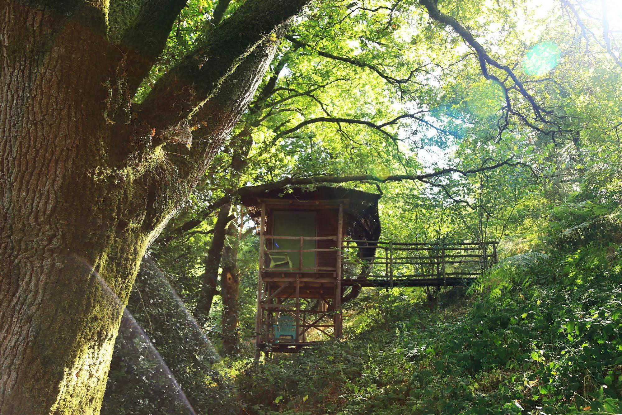 Terragora Lodges - Hebergement Atypique Лез-Эпес Экстерьер фото